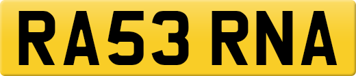 RA53RNA