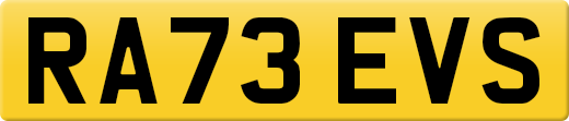 RA73EVS
