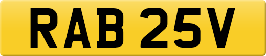 RAB25V