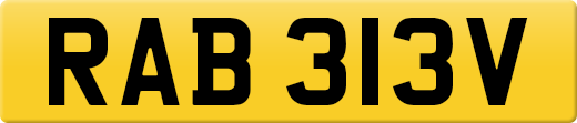 RAB313V