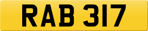 RAB317