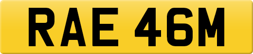 RAE46M
