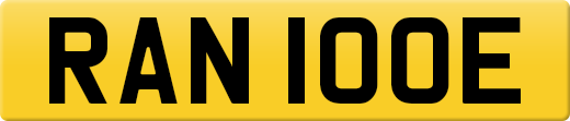 RAN100E