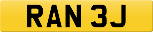 RAN3J