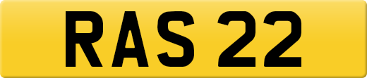 RAS22