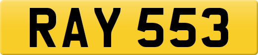 RAY553