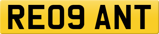RE09ANT