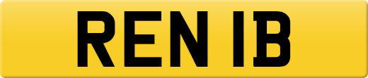 REN1B