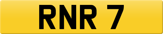 RNR7
