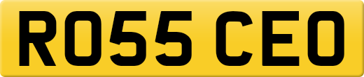 RO55CEO