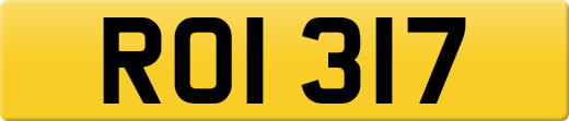 ROI317
