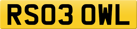RS03OWL