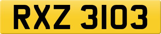 RXZ3103