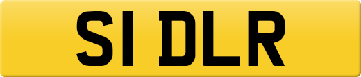 S1DLR