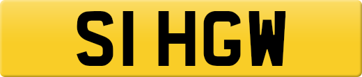 S1HGW