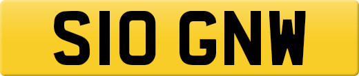 S10GNW