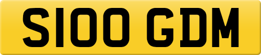 S100GDM