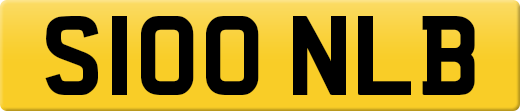 S100NLB