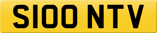 S100NTV