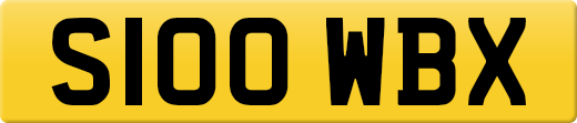 S100WBX