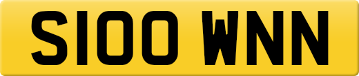 S100WNN