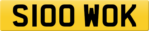 S100WOK