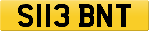 S113BNT
