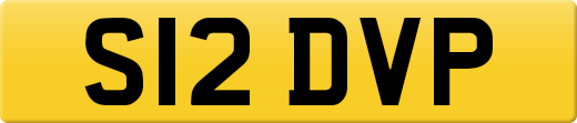 S12DVP