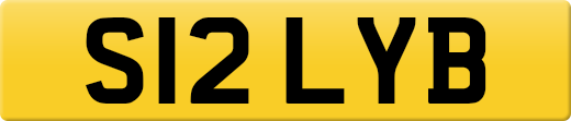 S12LYB