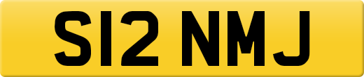 S12NMJ