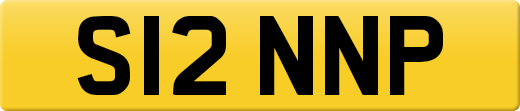 S12NNP