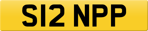 S12NPP