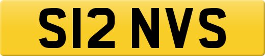 S12NVS