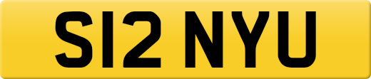 S12NYU