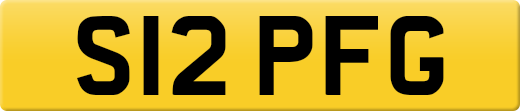 S12PFG