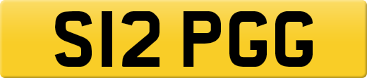 S12PGG