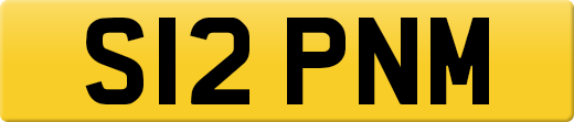 S12PNM
