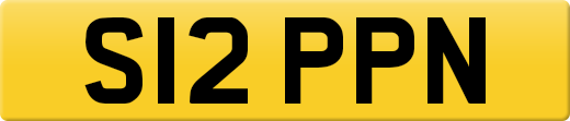 S12PPN