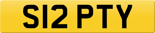 S12PTY