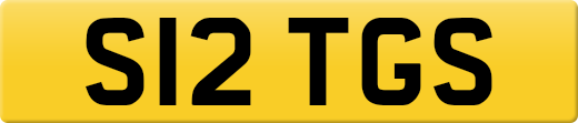 S12TGS