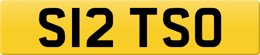 S12TSO