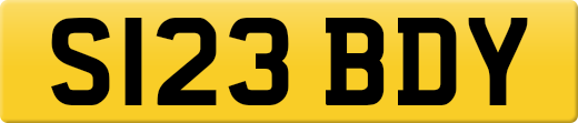 S123BDY