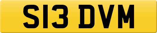 S13DVM
