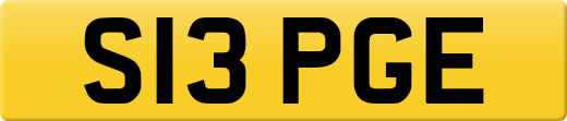 S13PGE