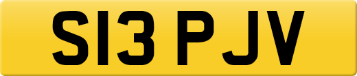 S13PJV