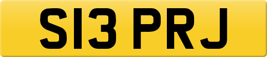 S13PRJ