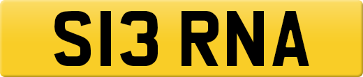S13RNA