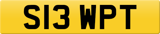 S13WPT