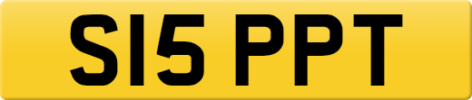 S15PPT