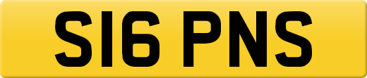 S16PNS